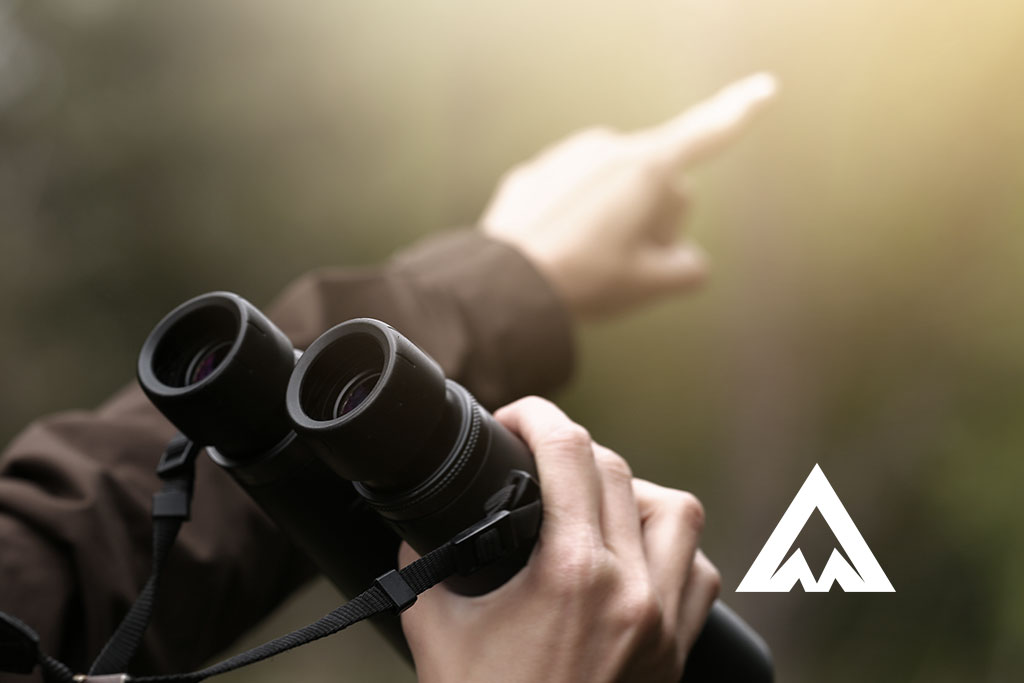 The Best 5 Binoculars Reviews: Compact, Hunting and Birdwatching - Snowball  Expeditions