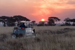 Best Binoculars for Safari